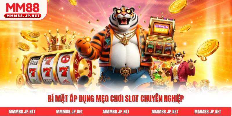 Bí mật áp dụng mẹo chơi slot chuyên nghiệp