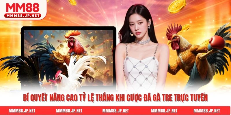 Bí quyết nâng cao tỷ lệ thắng khi cược đá gà tre trực tuyến