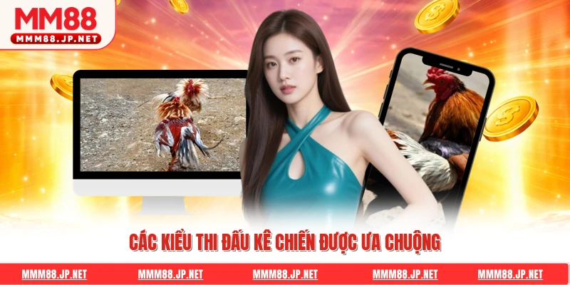 Các kiểu thi đấu kê chiến được ưa chuộng