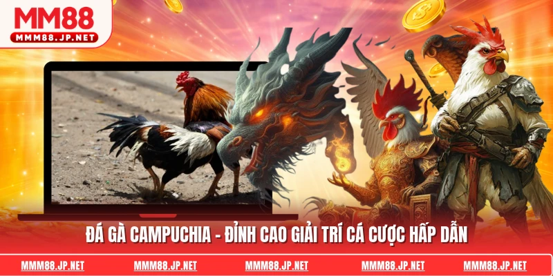 Đá Gà Campuchia - Đỉnh Cao Giải Trí Cá Cược Hấp Dẫn