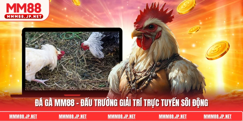 Đá Gà Mm88 - Đấu Trường Giải Trí Trực Tuyến Sôi Động