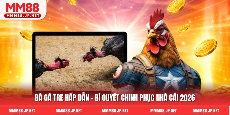Đá Gà Tre Hấp Dẫn - Bí Quyết Chinh Phục Nhà Cái 2026