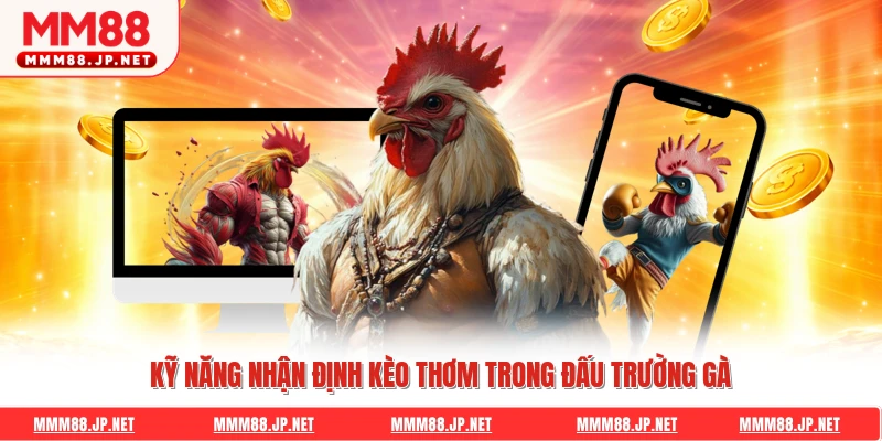 Kỹ năng nhận định kèo thơm trong đấu trường gà