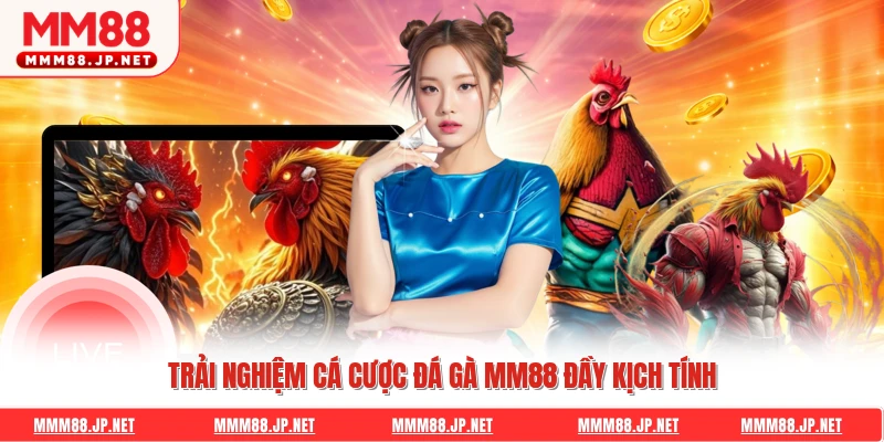 Sức lôi cuốn đặc biệt từ sảnh đá gà Mm88 trực tuyến